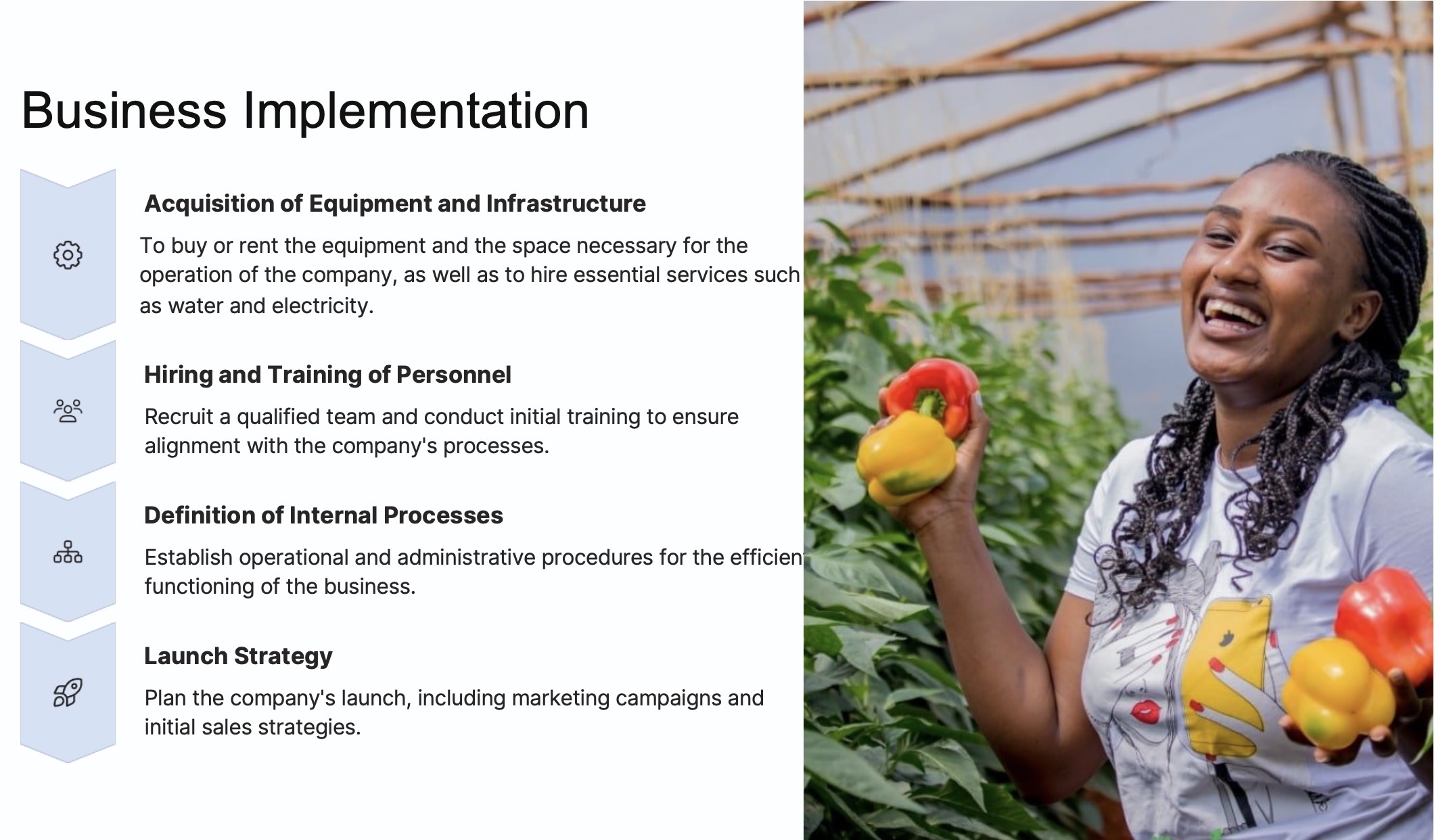 Step 6: Ongoing Support - Support and growth