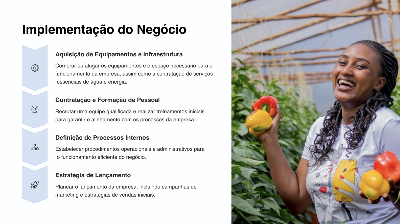 Passo 6: Apoio Contínuo - Suporte e crescimento