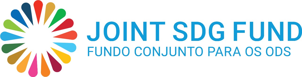 Joint SDG Fund