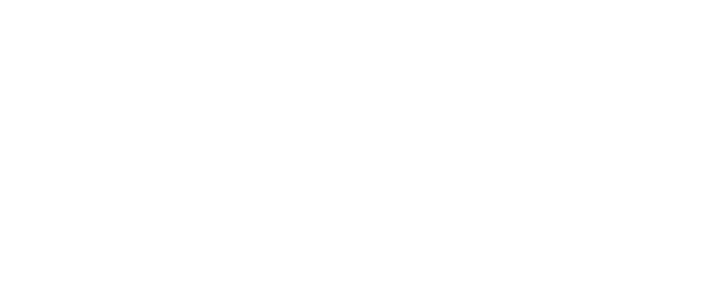 Investidor da Diáspora